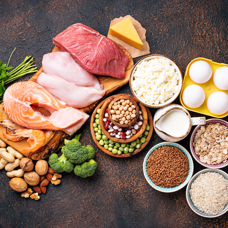 Protein Sources and Bioavailability